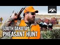 Justin Martin Pheasant Hunting in South Dakota