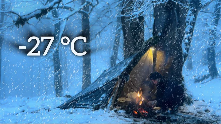 -27 °C No Tent Winter Camping Heavy Snow• Snow Storm ASMR