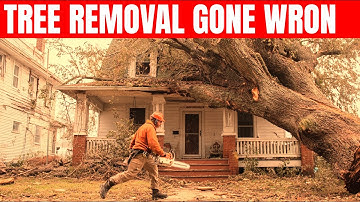 Idiots Cutting Trees With Chainsaws | Tree Falling & Chainsaw Fails Part 2