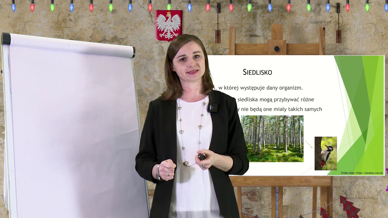 Sprawdzian Biologia Kl 8 Podstaw Ekologii Biologia - SP - egzamin ósmoklasisty. Wstęp do ekologii: - YouTube