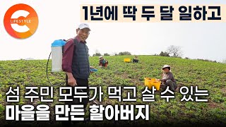 15년 전 들여온 씨앗 하나가 섬마을을 먹여 살리는 중🏝️ 절대 이곳을 떠나지 말라는 아버지의 유언을 지키고 섬 전체를 방풍나물 천국으로 만든 남자ㅣ#한국기행