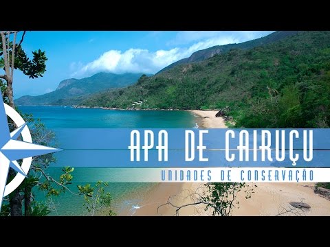 Área de Proteção Ambiental de Cairuçu - Parte 1- Episódio 19