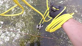 Water and Algae Sampling 2020