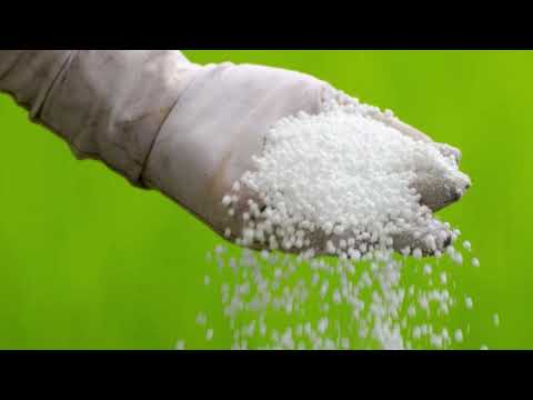 सुदूरपश्चिम प्रदेशमा यसवर्ष पनि मलको चरम अभाव