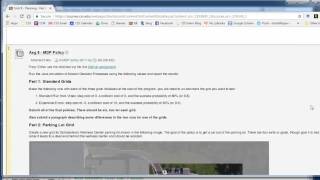 CIS 4115 Unit 8 Assignment