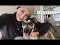 We Adopted A Dog! | Authentic by Frani