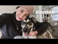 We Adopted A Dog!  | Authentic by Frani