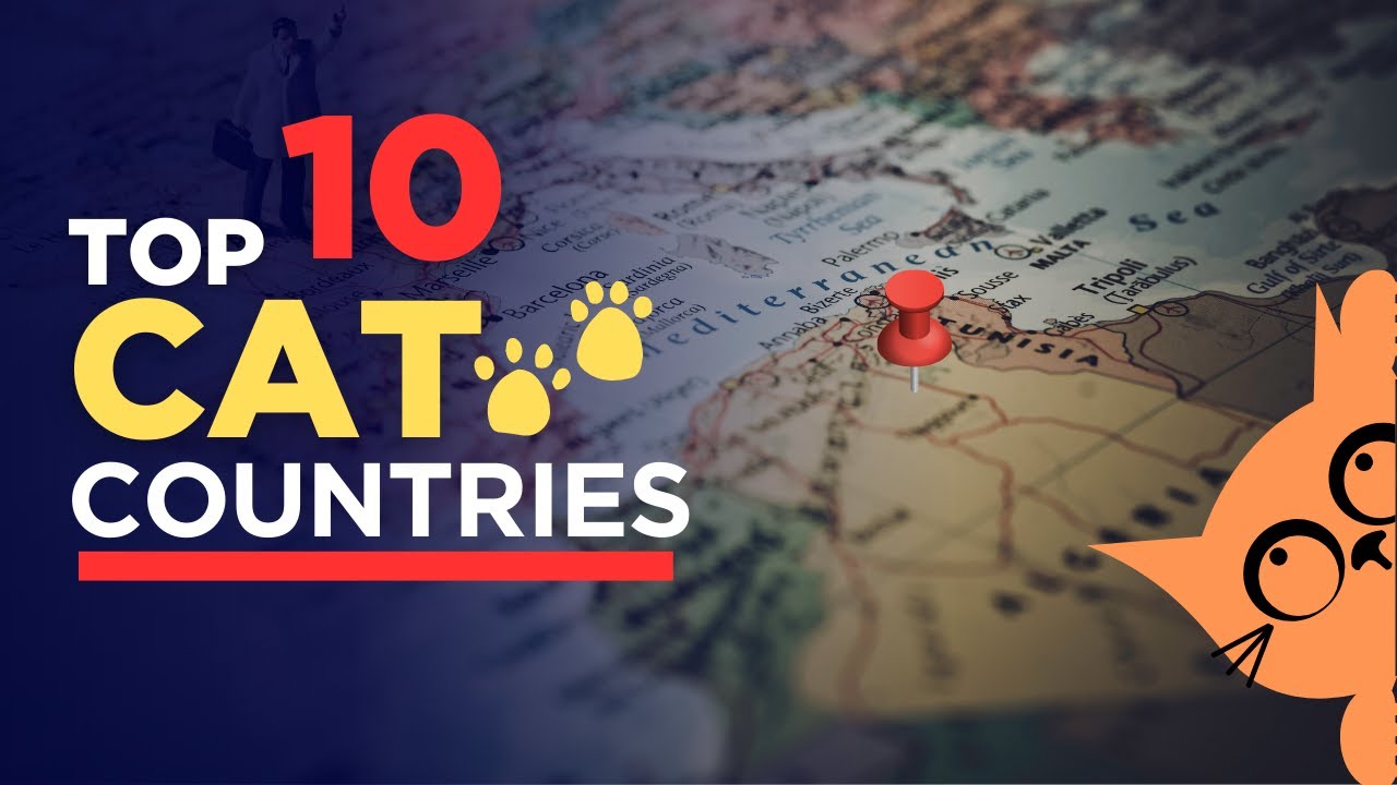 Top 10 Countries with the Most Cats 🐱 | Global Cat Population Ranking ...
