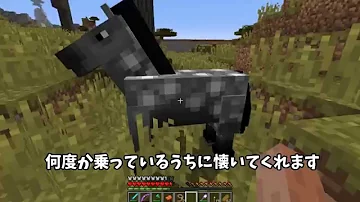 تحميل マイクラ 馬 乗り方