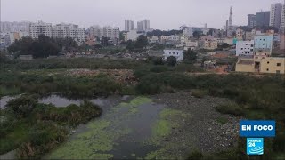 India: la lucha ciudadana para limpiar los lagos contaminados de Bangalore