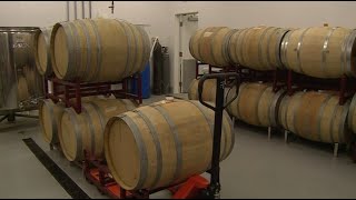 Education Counts Michiana - Lake Michigan College Offers Wine and Viticulture Technology Program