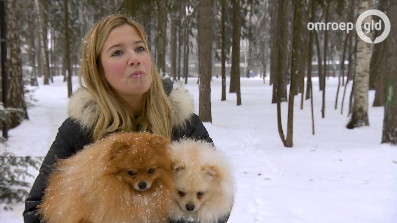 DE WONDERE WERELD VAN DE BUTTNERS 19 december 2016