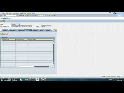 How create a SAP User with Parameters