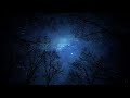 free, Sky, jungle, stars and trees Hd