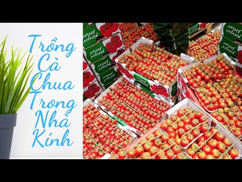 Video: Bộ trao đổi nhiệt tái sinh: chủng loại, nguyên lý hoạt động, phạm vi