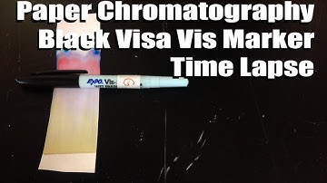 Paper Chromatography (Time Lapse) Black Visa Vis Marker