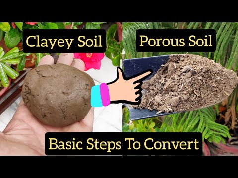 וִידֵאוֹ: What Is Soil Porosity: How To Get Soil Porous In The Garden