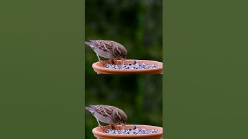 Untitled Projecta67816 autosave