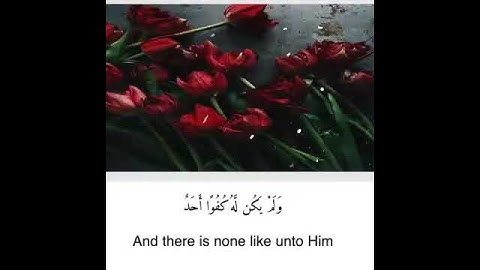 سورة الاخلاص❤️ارح قلبك وسمعك للشيخ ماهر المعيقلي |حالات واتساب|