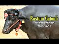 रुस्तम गतौली || RUSTUM GATOULI INTERNATIONAL CHAMPION BULL || कैप्टन हरिओम मुर्रा डेरी फार्म, दलेल