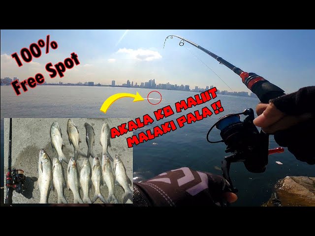 100% Free Spot in Manila!! Baseco Barge | Threadfin Salmon Spot class=