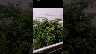 beautiful rainy day photography ideas// 📷🌧️📷🌧️