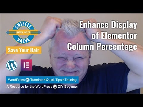 Elementor - Enhance column width percentage display