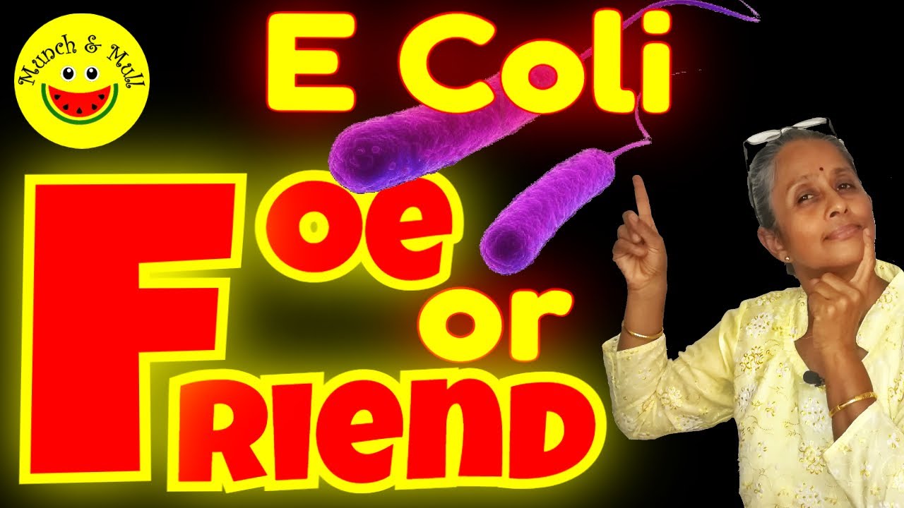 What causes E Coli UTI Infection How E Coli causes UTI E Coli UTI
