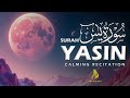Surah Yasin Yaseen سورة يس Majestic Voice Will Give You Deep Relaxation NSAIM Holy Quran Surah Yasin Yaseen سورة يس Majestic Voice Will Give You Deep Relaxation NSAIM Holy Quran