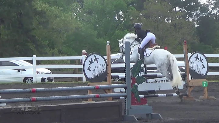 Heidi Crowell & Dark Star Holly Hill Horse Trials ...