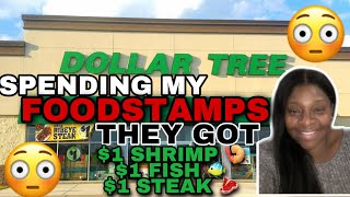 I WENT TO THE DOLLAR TREE FOR JUST 4 THINGS AND ENDED UP GROCERY SHOPPING WITH MY FOODSTAMPS