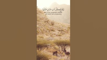 Surah Al-Haj 1-2 سورة الحج