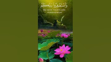 وَاسْتَغْفِرُوا رَبَّكُمْ ثُمَّ تُوبُوا إِلَيْهِ ۚ إِنَّ رَبِّي رَحِيمٌ وَدُودٌ سورة هود (الآية 90)