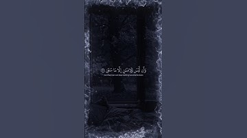 انشر الخير 🕊️ تلاوة عذبة تأسر القلوب #quran #قران #تلاوة #قران_كريم #راحة_نفسية