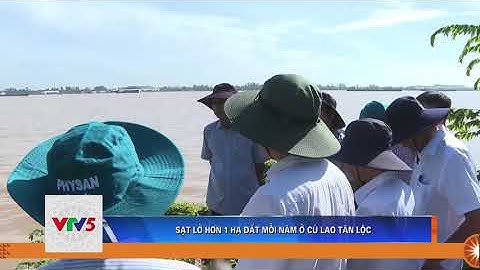 SẠT LỞ HƠN 1 HA ĐẤT MỖI NĂM Ở CÙ LAO TÂN LỘC | VTV5 TÂY NAM BỘ