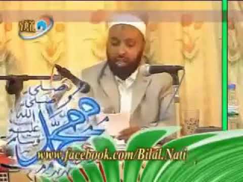 ሀስድ ተወዳጂ ምርጥሀድስ