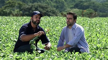 Biologicals Seed treatment Where it Begins| BASF