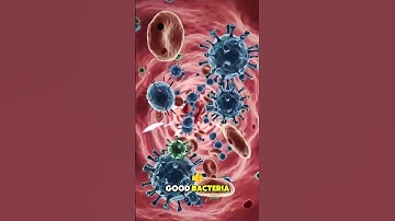 "Why Do We Even Have an Appendix? | Educational Animation"#shorts