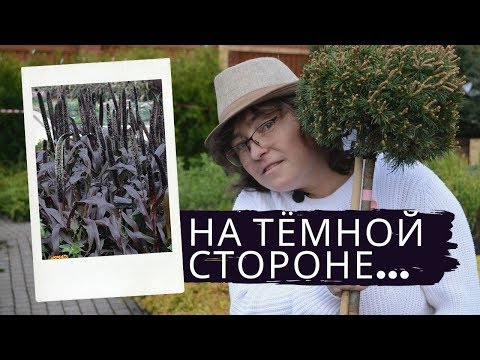 На тёмной стороне...