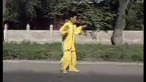 Zhao Chuan hui 赵川辉 Zhao Yongchang 赵永昌 son Song Shi Xing Yi quan 宋氏形意 十七式,