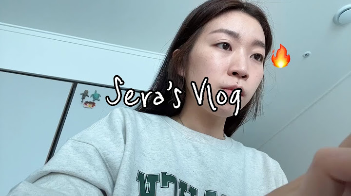 일상 Vlog | 이사하고 일하고 새집에 개들 적응시키느라 바빴던 1,2월 💆🏻‍♀️