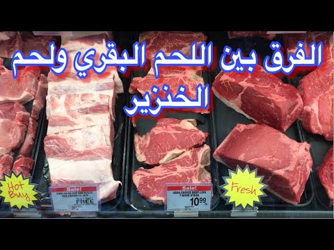 الفرق بين اللحم البقري ولحم الخنزير في أمريكا