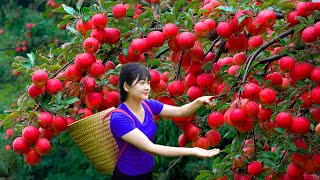 Autumn Special: Harvesting 999kg Ruby Red Apples for Sale & Hot Dal Dhokli Made On The Village Stove