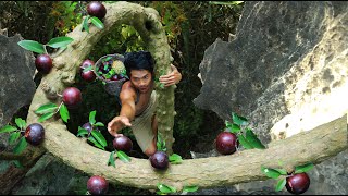 survival in Beautiful forest area - Strange fruits cost a lot delicious On mountain Baysey