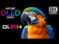 BEST OLED DEMO - Mesmerizing Earthscapes in 8K HDR | Dolby Vision™