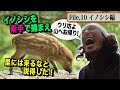 素手で野生のイノシシを捕獲！里には来るなと説得した　　天然食材ハンター谷田圭太の野人塾　File10 《野生のイノシシ》