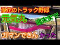 【長距離トラック運転手】週末までマテマテン　アイラインフイルム悪戦苦闘なんとかはれたよ✌️