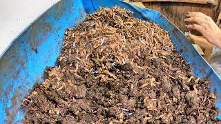 Big Blue Bin - Talking about Setbacks and Moisture