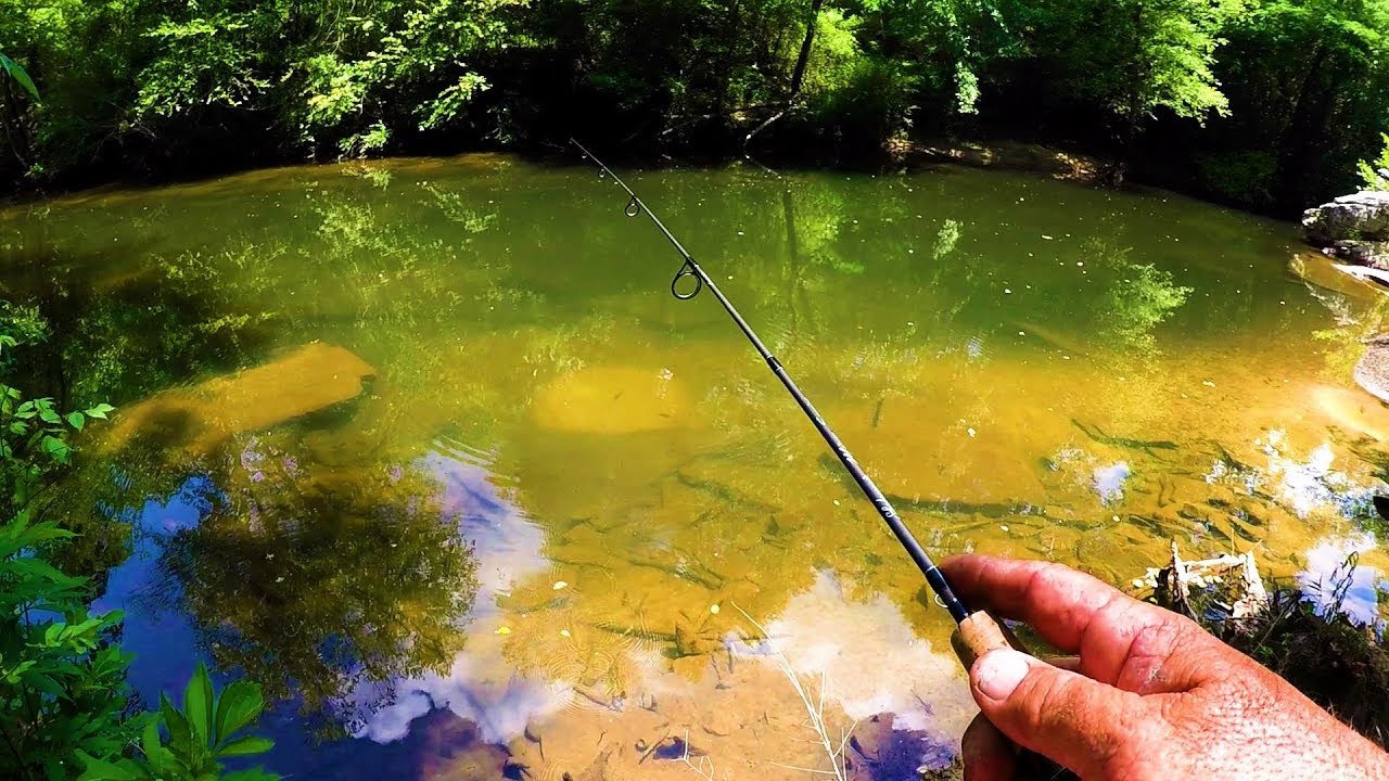Fishing Panfish Beds In A Creek YouTube
