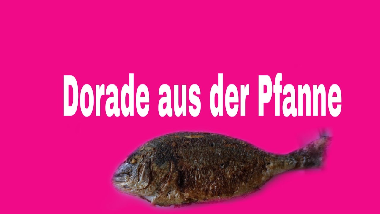 Irmi kocht| Dorade 🐟🐟🐟🐟🐟|Illeswelt